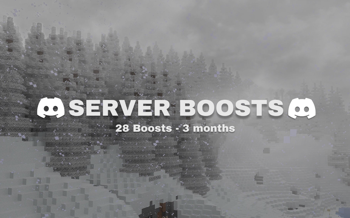 Server Boosts 28 - 3m